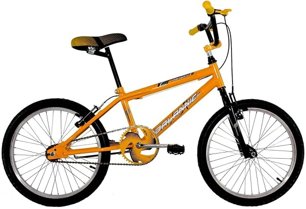Bicicleta Aro 20 Menino Cross Freestyle BMX Mutante Dalannio Bike