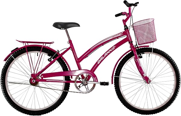 Dalannio Bike Susi Feminina Aro 26 com Cestinha e Paralamas