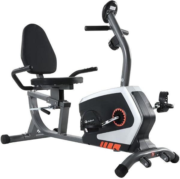 Gallant Elite Bicicleta Ergométrica Magnética Horizontal GBEV1HMGA-CZ